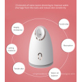 Adjusts Water And Oil Balance Nano Facial Steamer